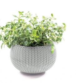 KETER RATTAN STYLE COZY PLANTERS PLASTIC SMALL WITH CHAIN RESIN ELEGANT GREY 612090   KETER ΓΛΑΣΤΡΑ ΠΛΑΣΤΙΚΗ COZY S ΣΤΥΛ ΡΑΤΑΝ ΑΠΟ ΡΗΤΙΝΗ ΜΕ ΑΛΥΣΙΔΑ ΣΤΕΡΕΩΣΗΣ ΣΕ ΧΡΩΜΑ ΓΚΡΙ 612090